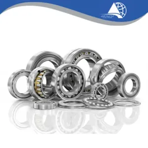 Other Bearing's